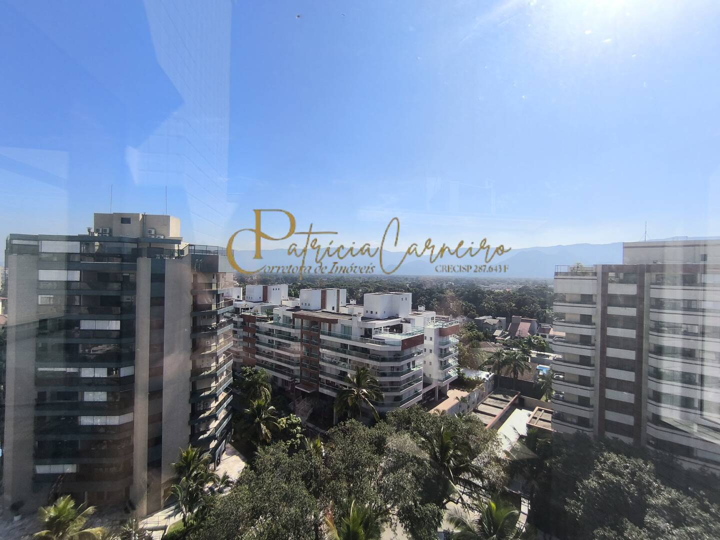 Cobertura, 4 quartos, 341 m² - Foto 37